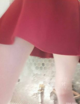 拉布拉多警长100集_剧情片在线视频观看