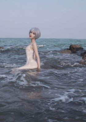 尚食电视剧40集免费观看完整版_国产剧影视在线观看